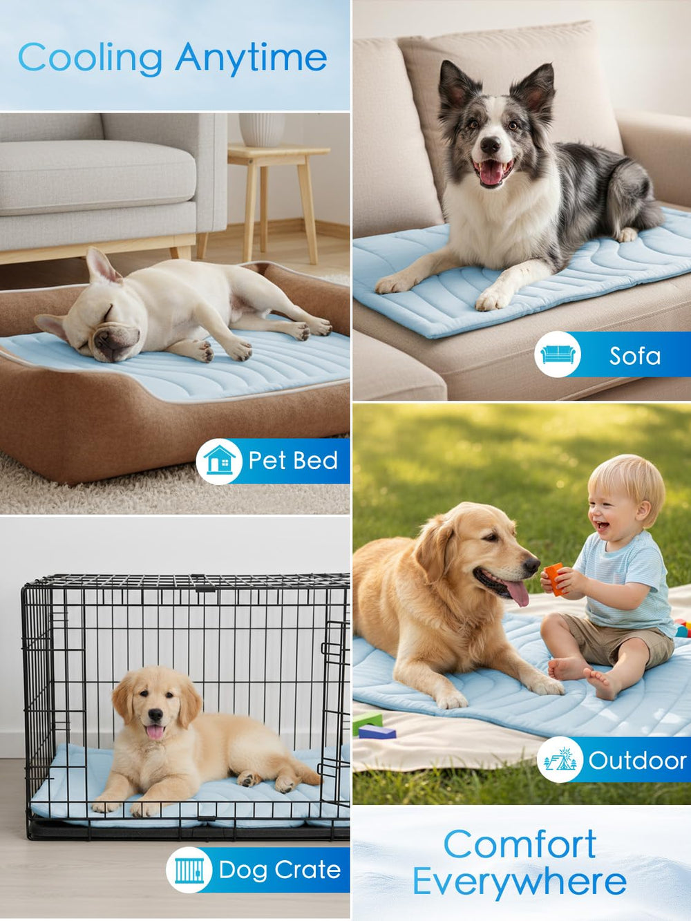 BECEMURU tapis posé dans un salon avec chien relaxé créant ambiance cosy