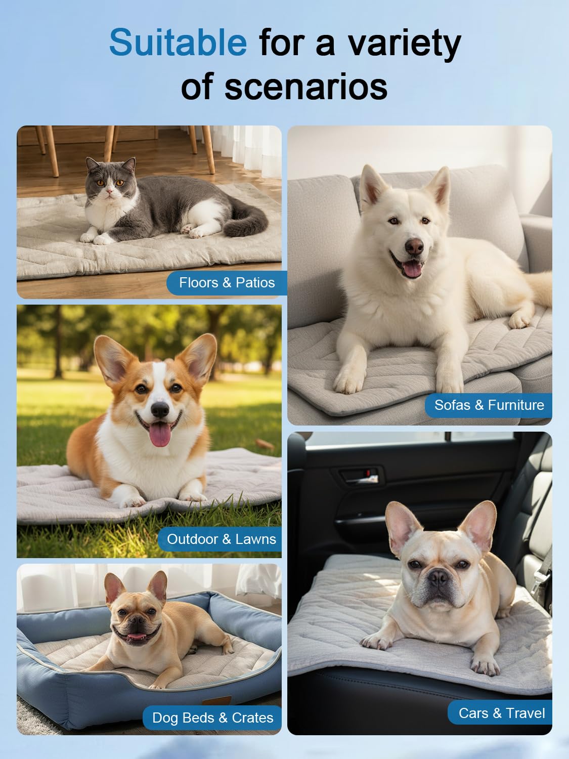 BECROWM matelas à l'échelle montre dimensions medium adapté chiens moyens