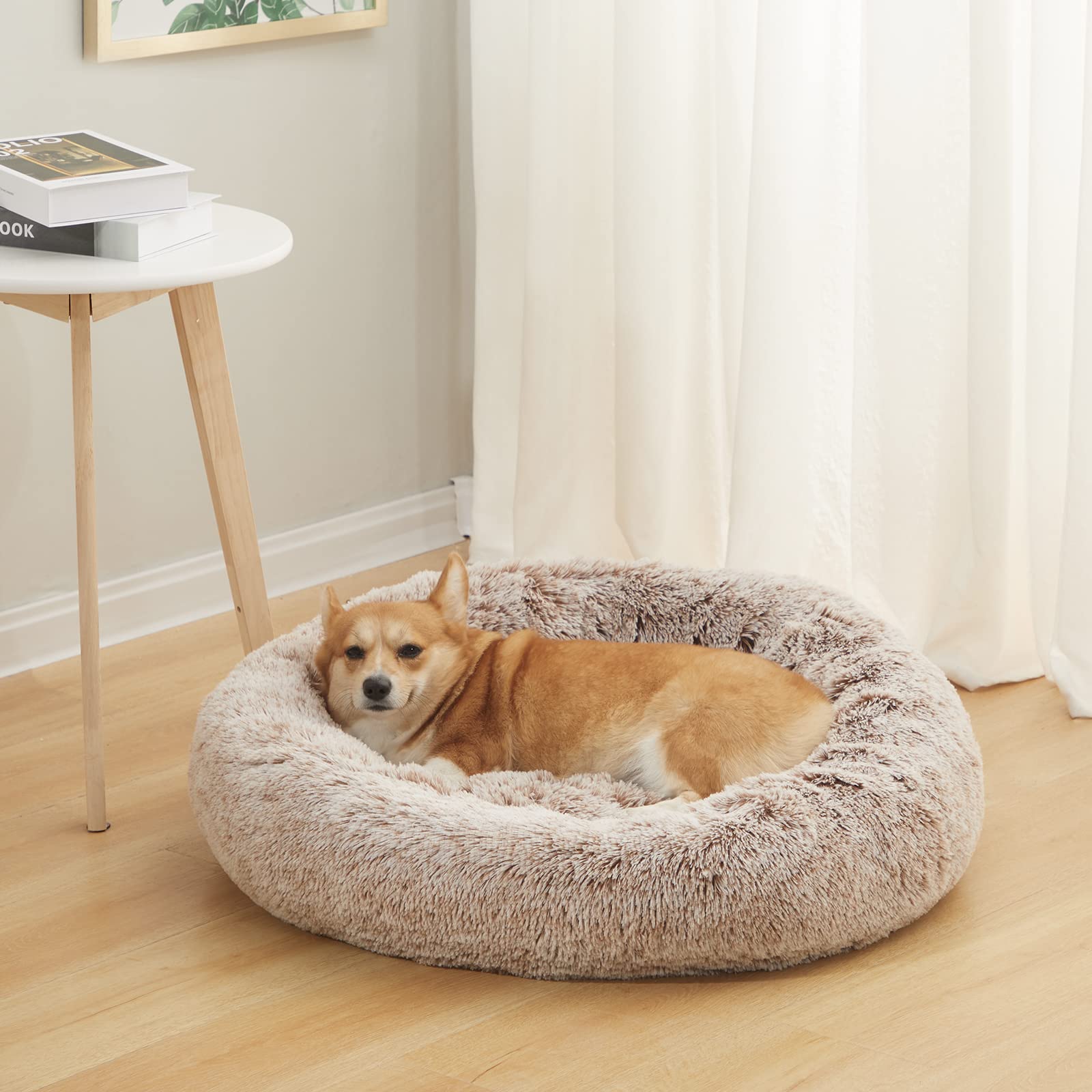 Bedfolks fourrure synthétique gros plan pour chaleur et peluche