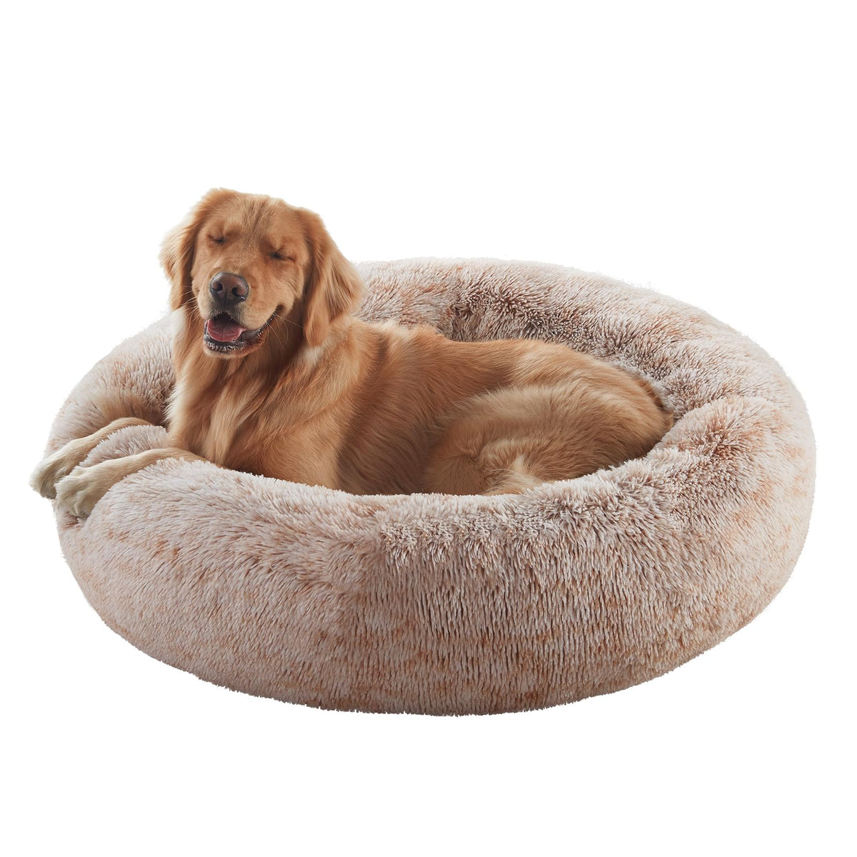 BedStill lit donut vue avant montrant confort et entrée facile