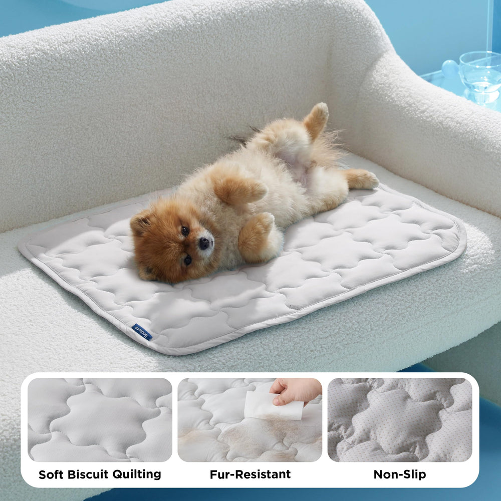 Bedsure ArcticMax chien allongé à la maison réduisant chaleur après jeu