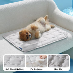 Bedsure ArcticMax chien allongé à la maison réduisant chaleur après jeu