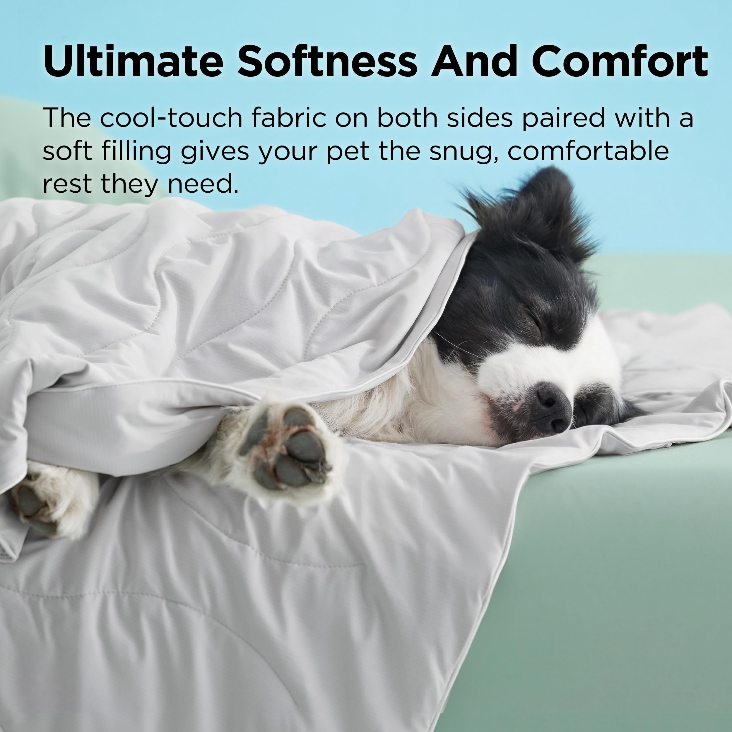 Bedsure chien reposant sur la couverture apportant fraîcheur et confort immédiat