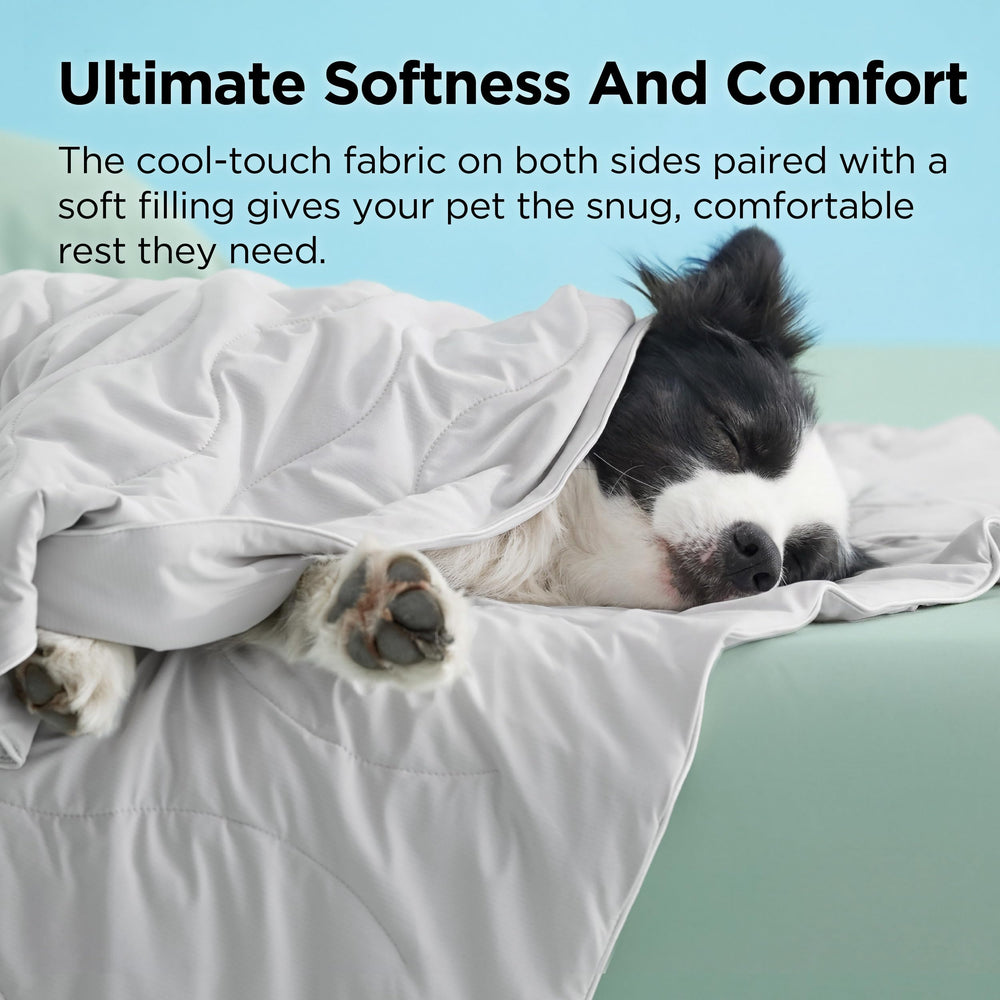 Bedsure chien reposant sur la couverture apportant fraîcheur et confort immédiat
