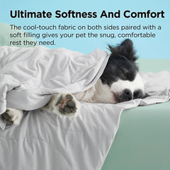 Bedsure chien reposant sur la couverture apportant fraîcheur et confort immédiat