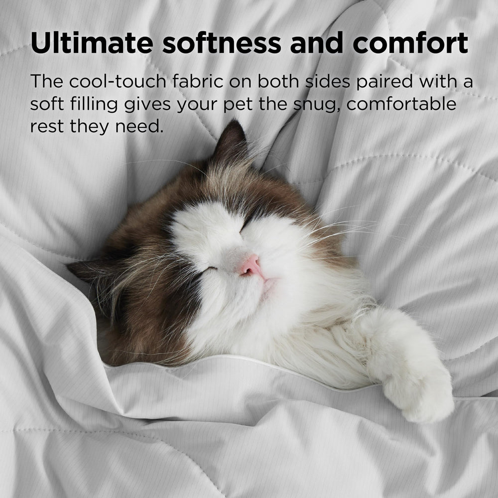 Couverture Bedsure ArcticMax sur canapé offrant protection et coin frais pour chien
