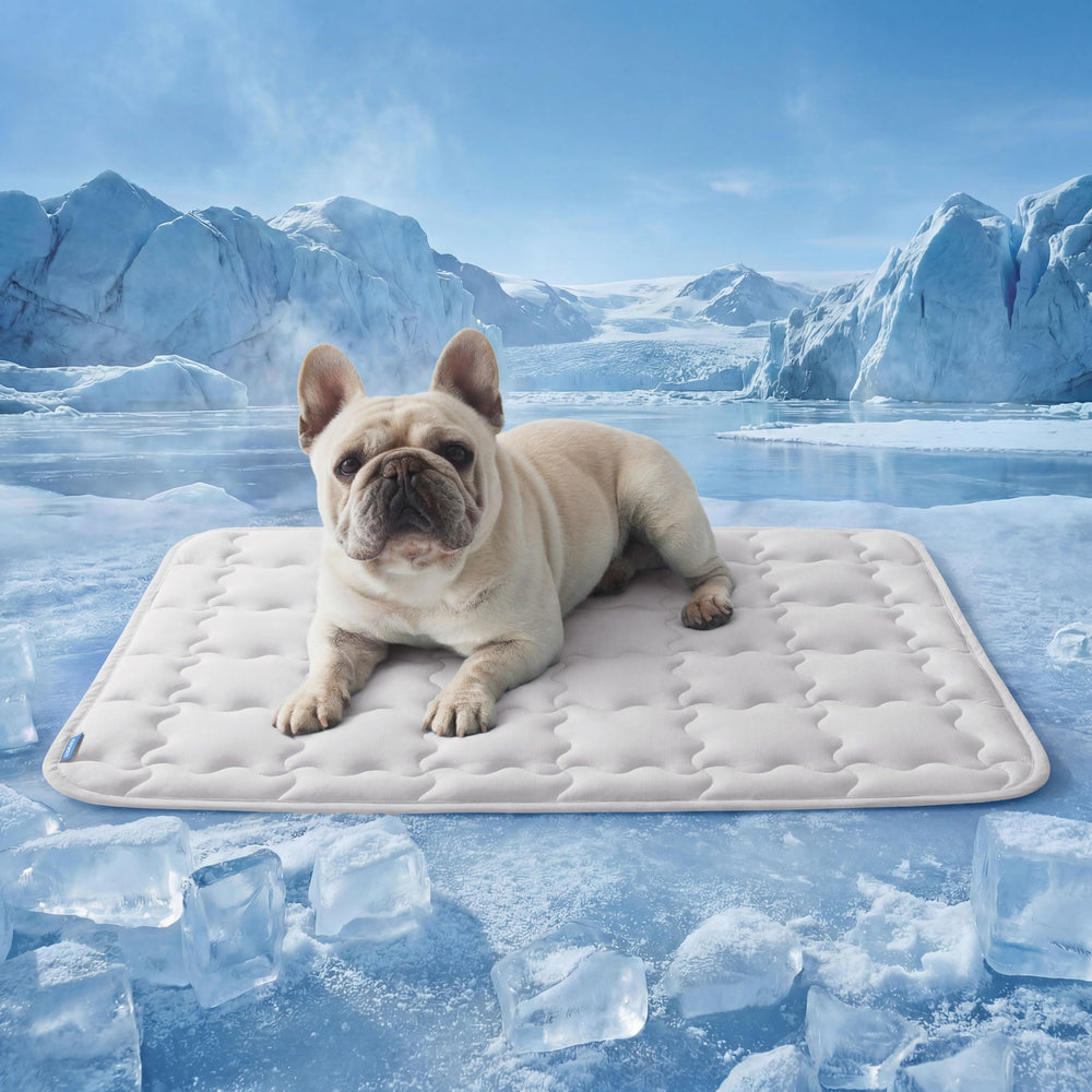 Bedsure ArcticMax face avant du tapis montrant design et ouverture, confort rapide