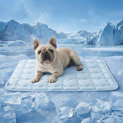Bedsure ArcticMax face avant montrant le design et bénéfice confort immédiat