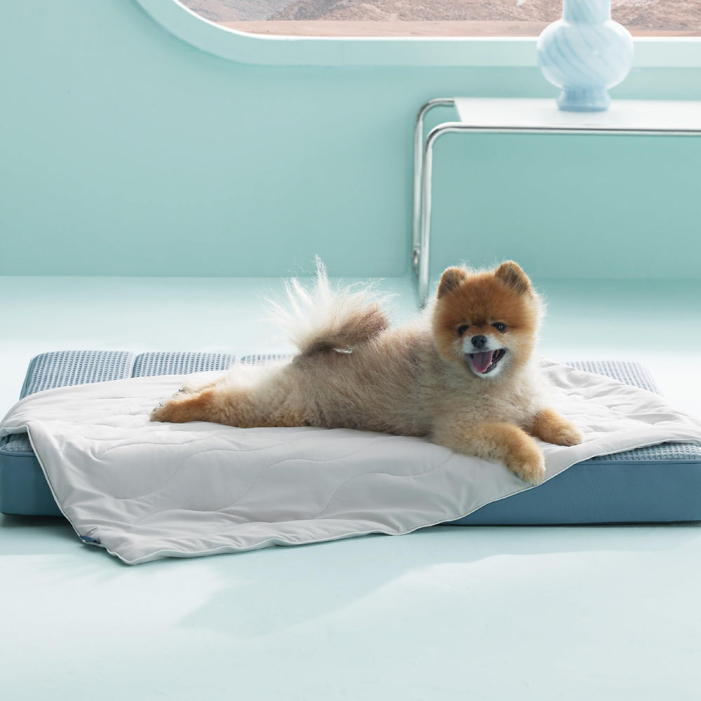 Bedsure ArcticMax face avant montrant motif et finition pour confort rafraîchissant
