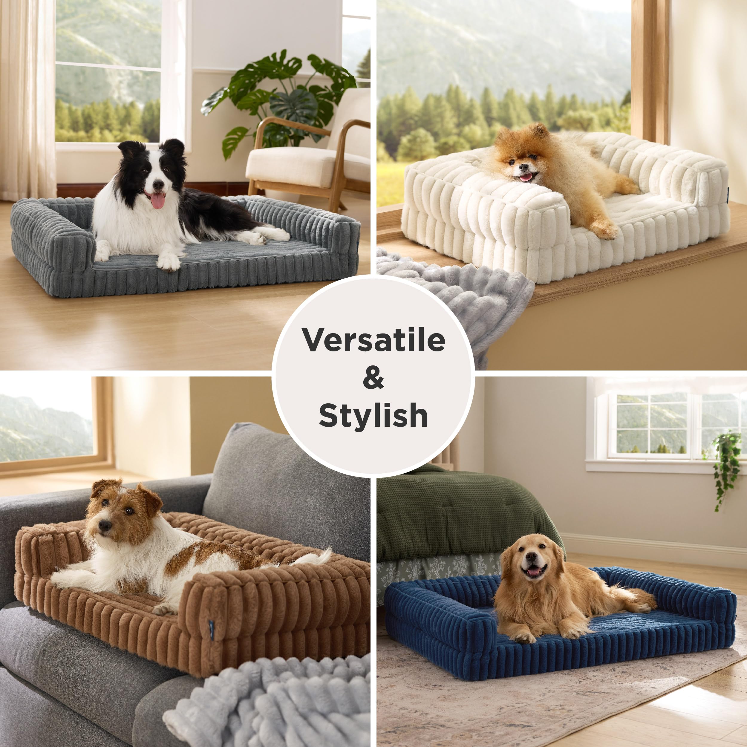 Bedsure comparaison d’échelle montre dimensions adaptées grands chiens