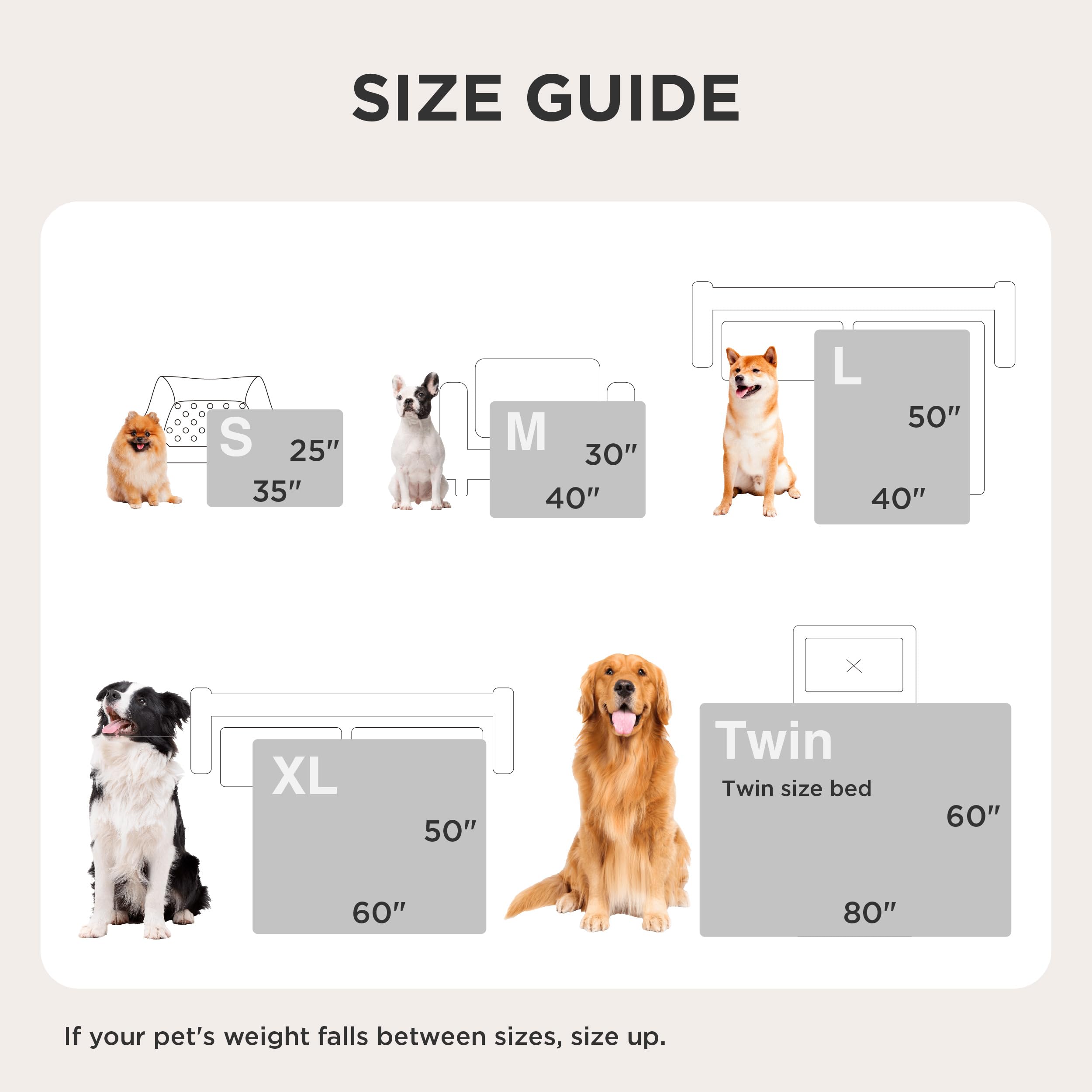 Bedsure comparaison taille 25x35 cm illustrant ajustement pour petits animaux