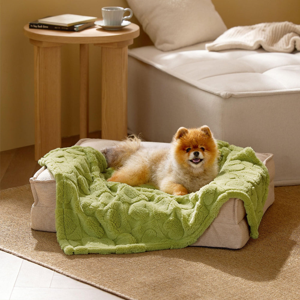 Bedsure assortiment de couleurs et motifs montrant choix décoratif