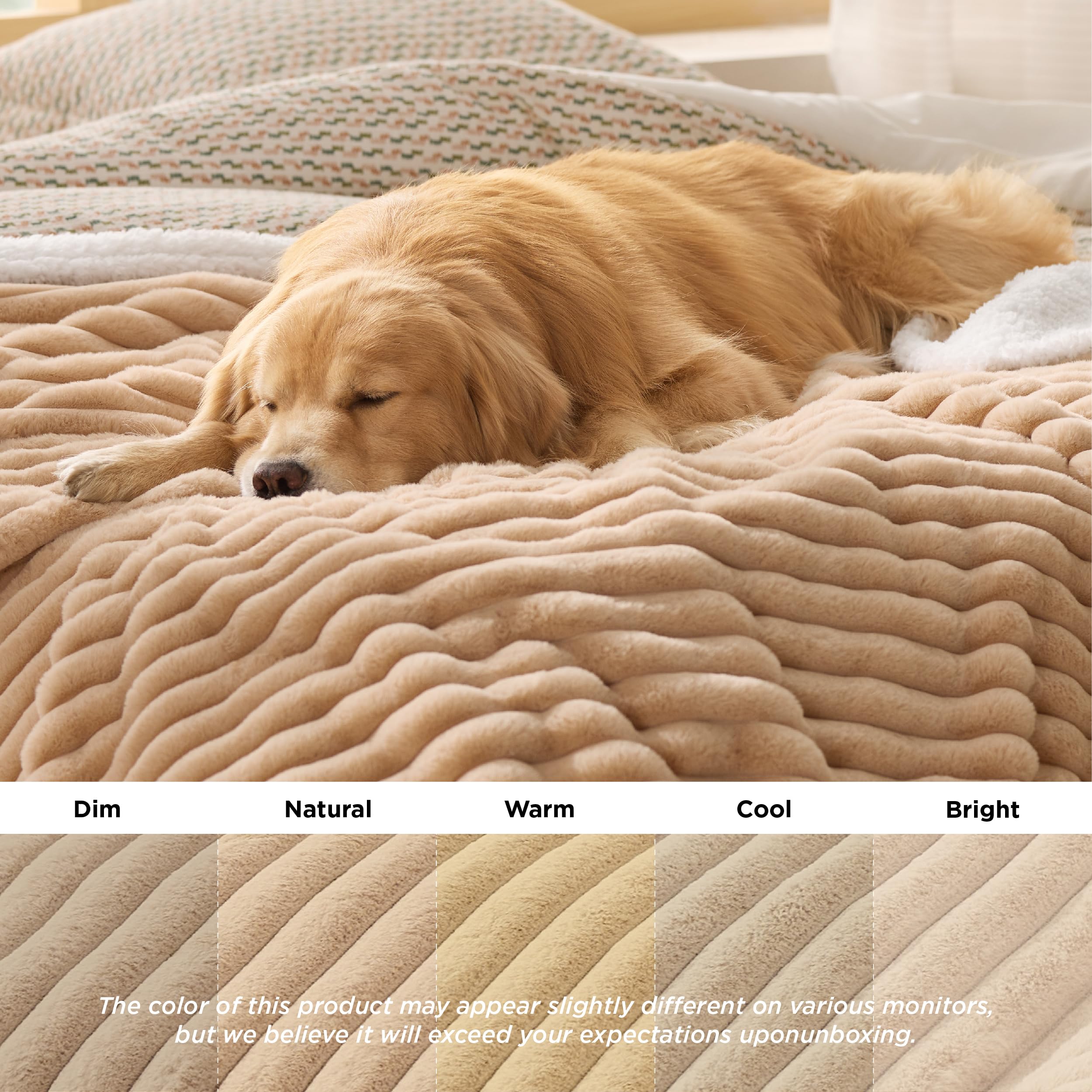 Bedsure couverture avec grand chien allongé, confort et protection du meuble