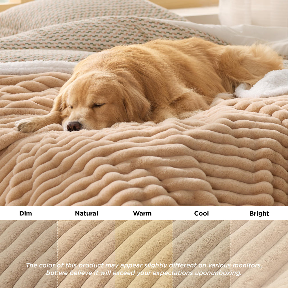 Bedsure couverture avec grand chien allongé, confort et protection du meuble