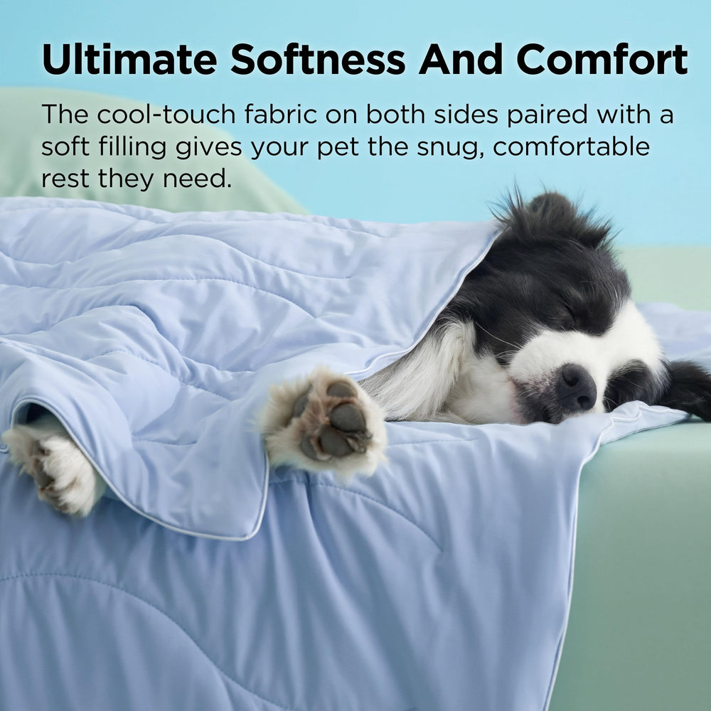 Bedsure chien moyen allongé sur la couverture démontrant confort apaisant