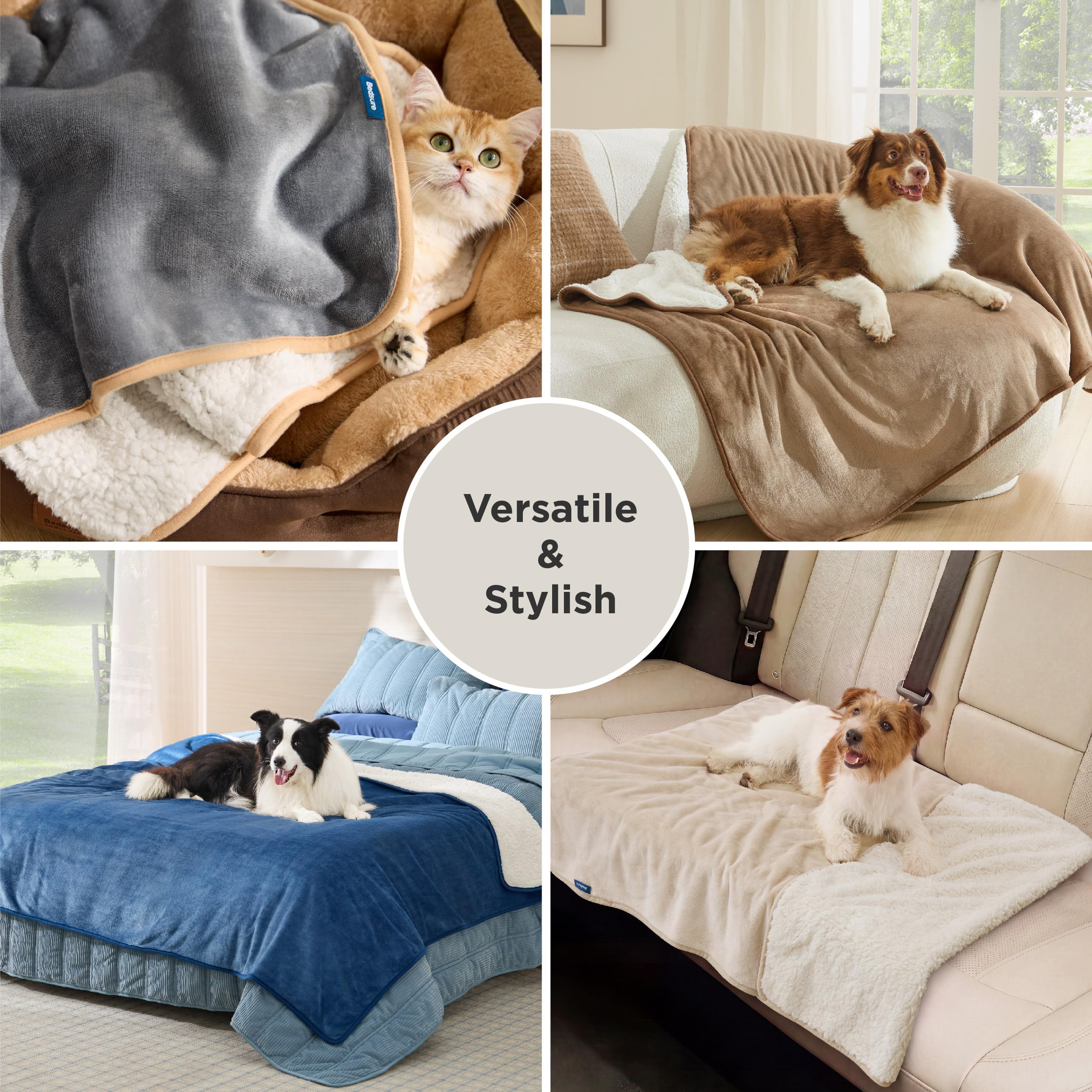 Bedsure petit chien sur fauteuil protégé et propre