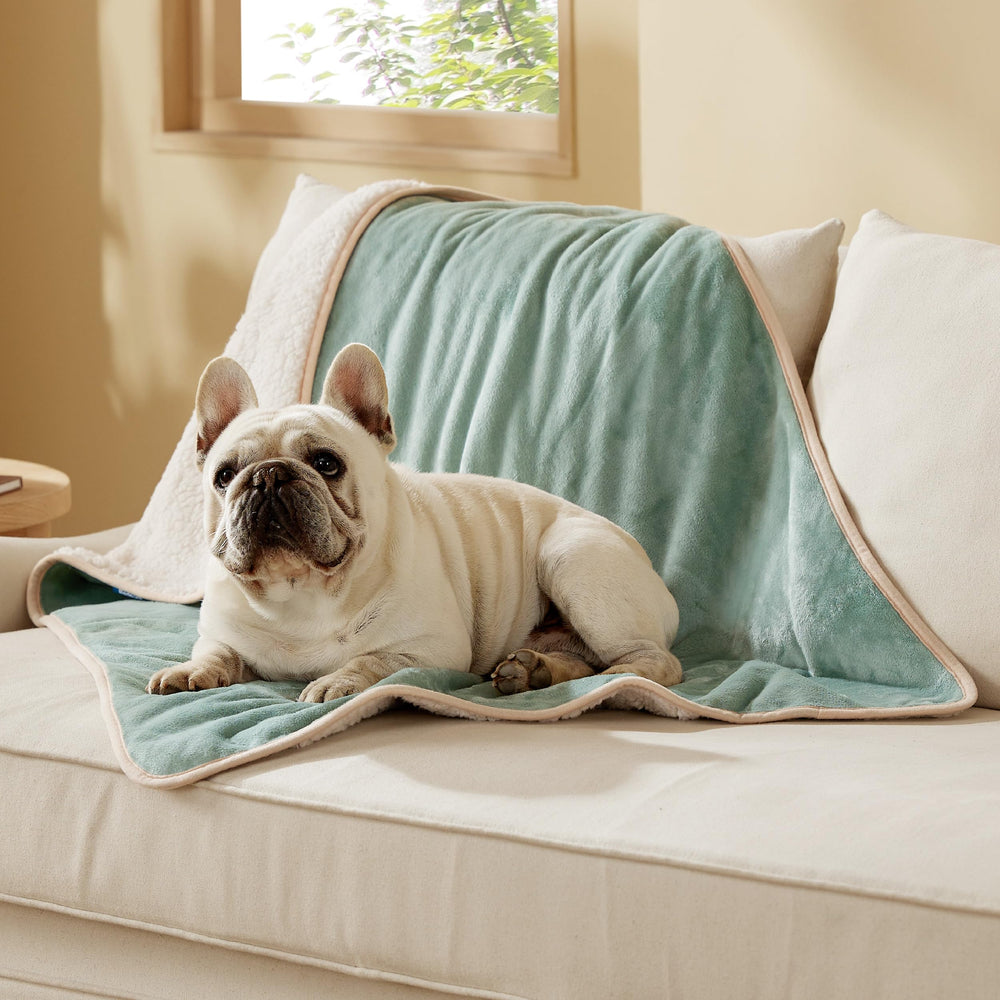 Bedsure vue avant sur canapé protège tissu et apporte confort