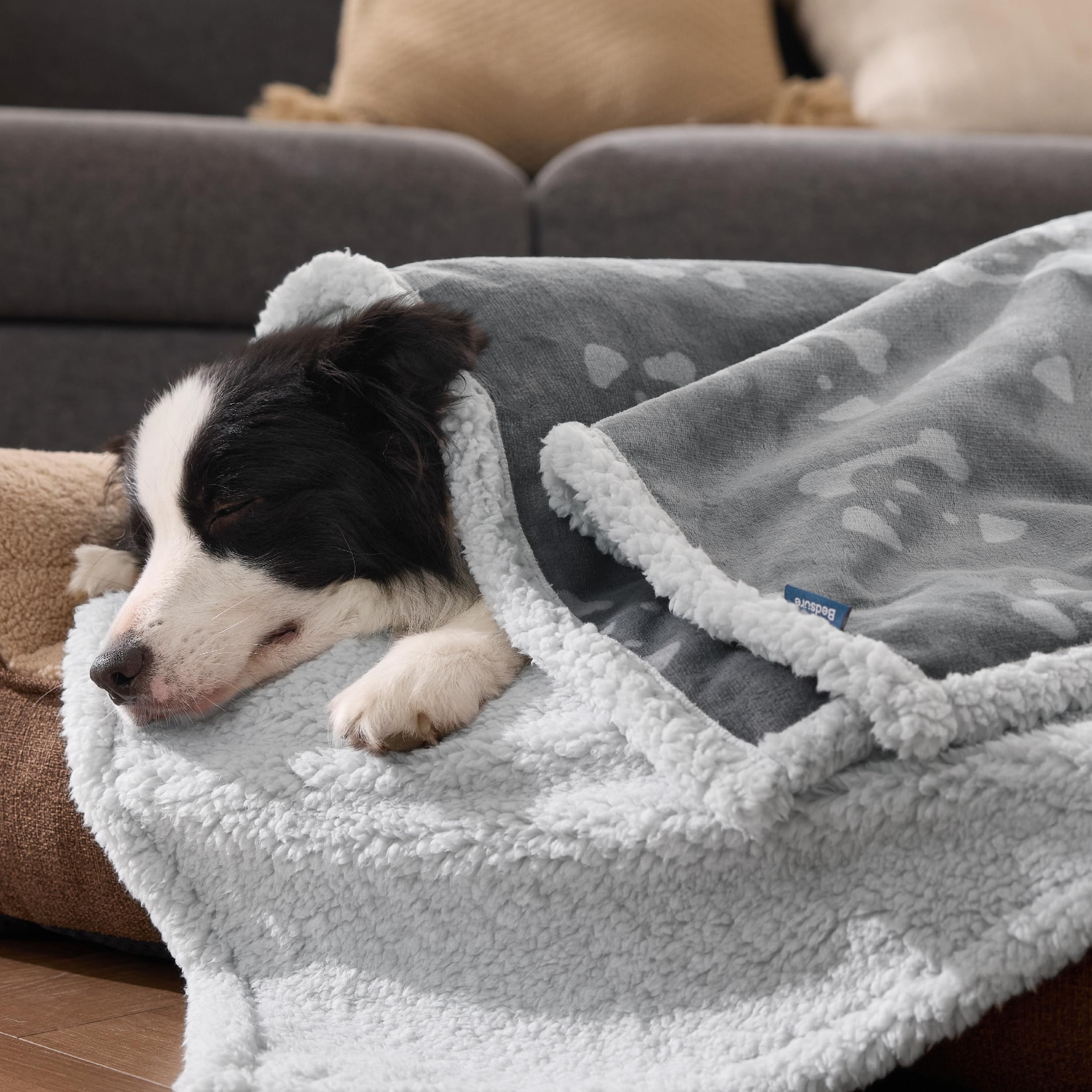 Bedsure couverture avec chien, espace confortable pour animaux domestiques