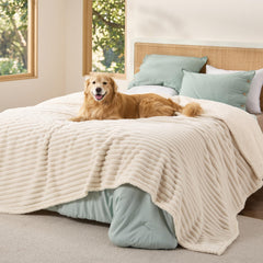 Bedsure couverture face avant king montrant protection et confort