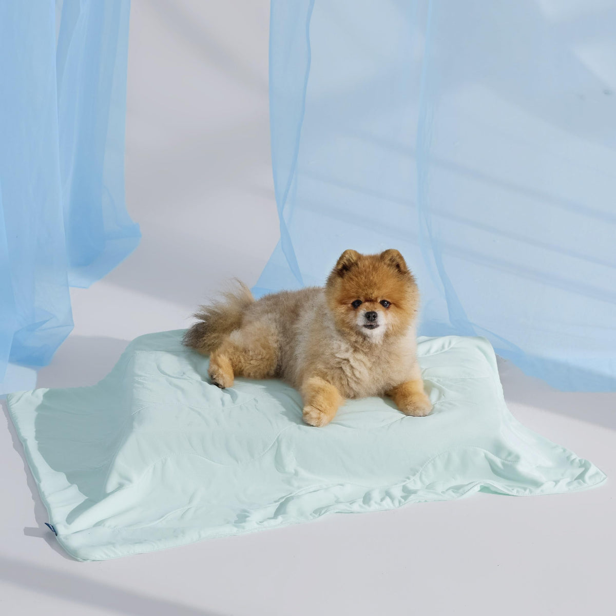 Bedsure couverture face avant montrant tissu soyeux et confort rafraîchissant
