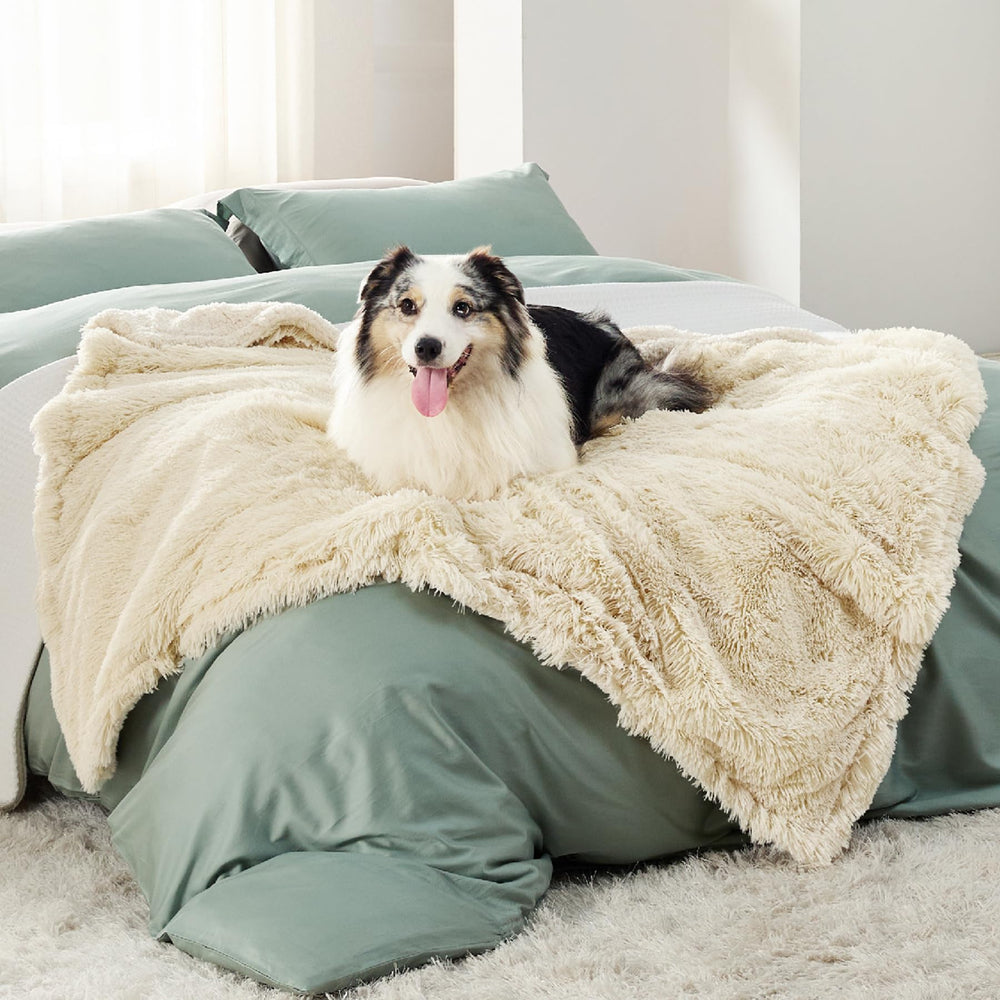 Bedsure couverture face avant montrant design élégant et protection pour canapé
