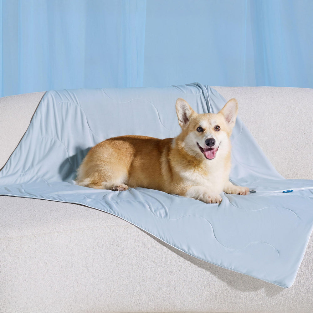 Bedsure couverture face avant montrant protection élégante et confort