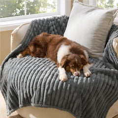Bedsure couverture face corduroy résistante protégeant tissus et décor