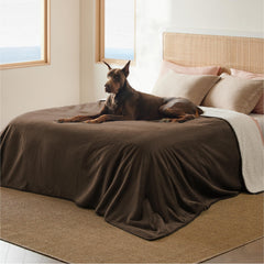 bedsure couverture sherpa moelleuse pour chaleur et confort