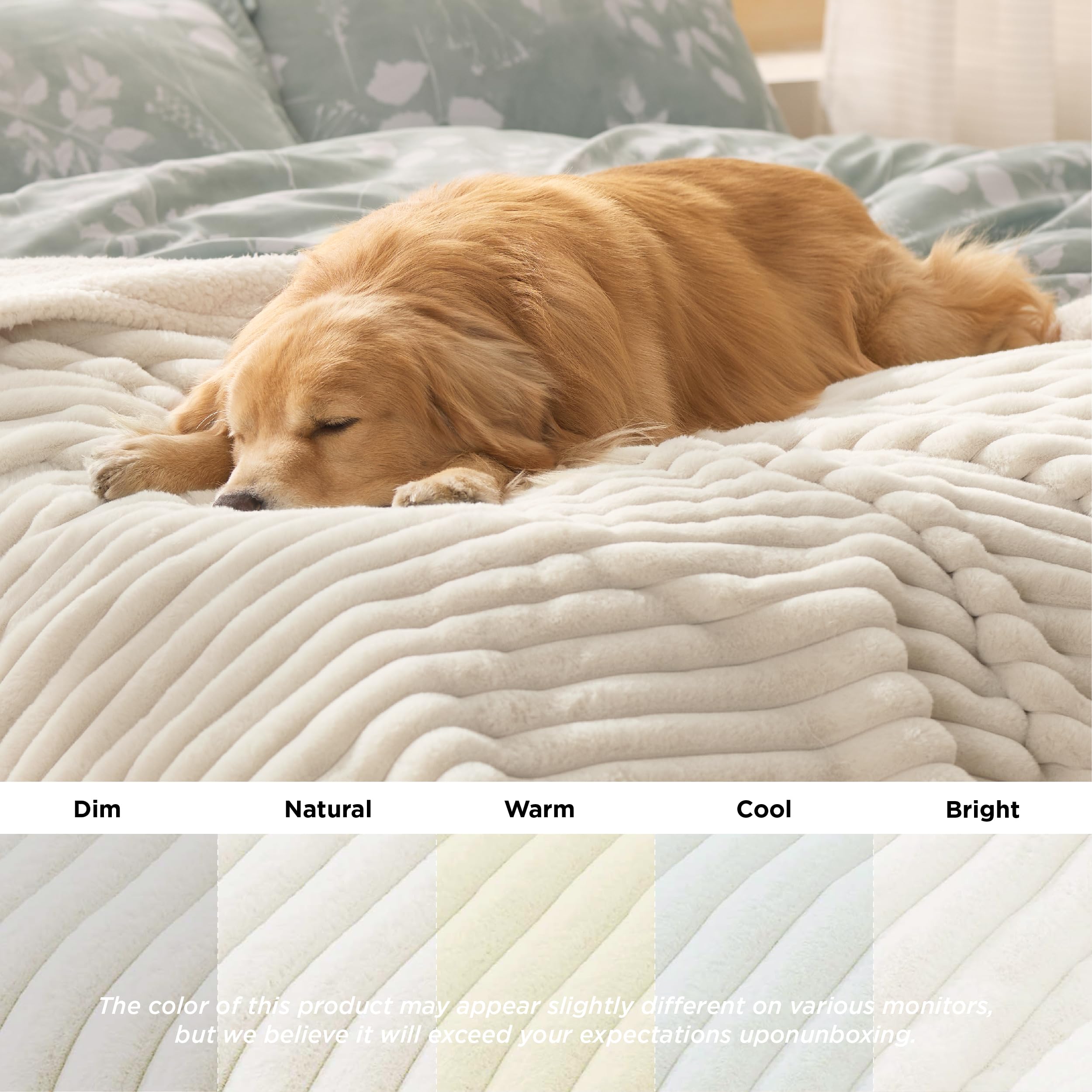 Bedsure petit chien sur canapé, garde le canapé propre et cosy