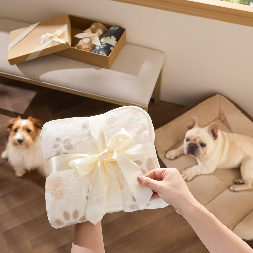 Bedsure couverture sur canapé avec chien, apporte confort et protection