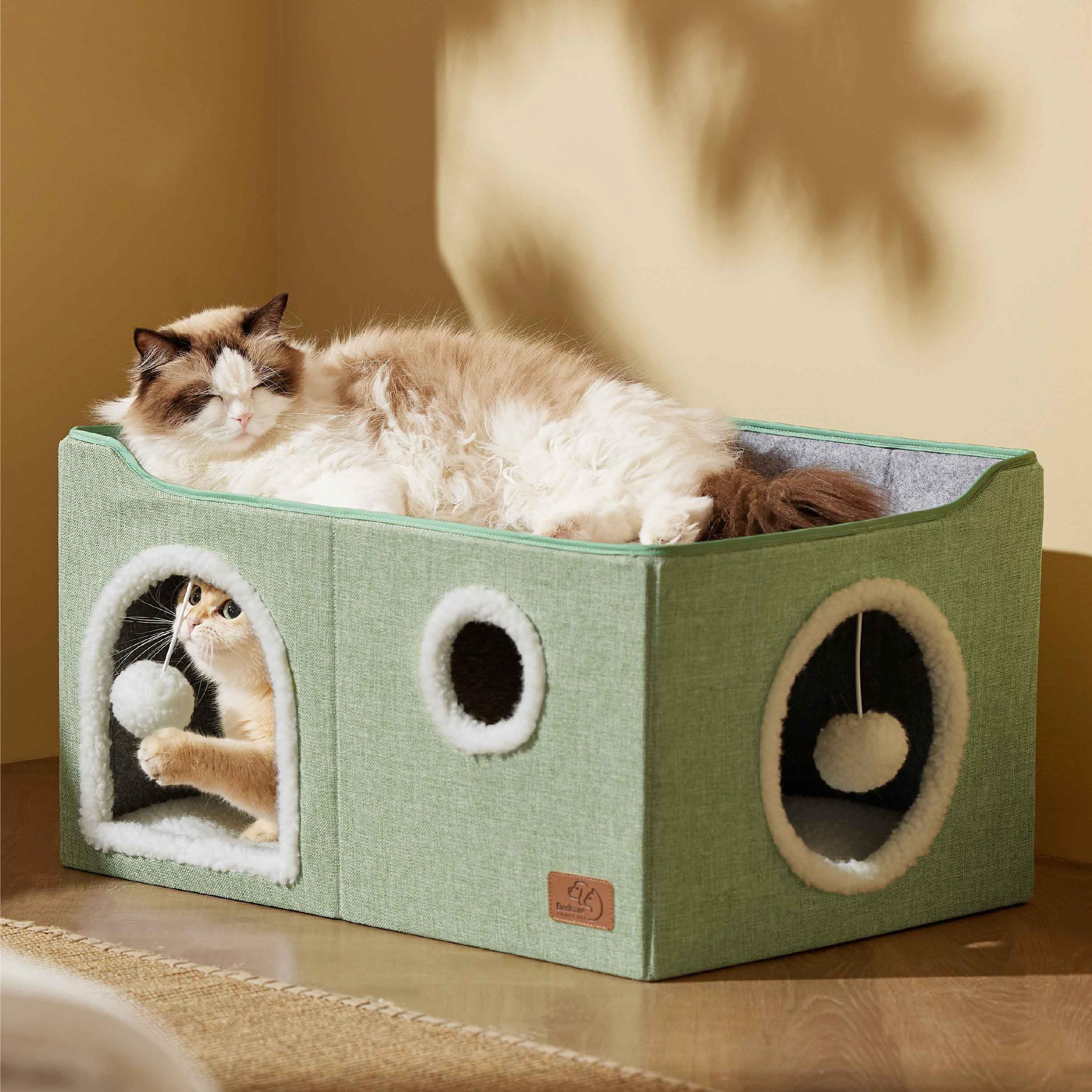 Bedsure comparatif taille avec chat adulte, supporte jusqu'à 13,6 kg