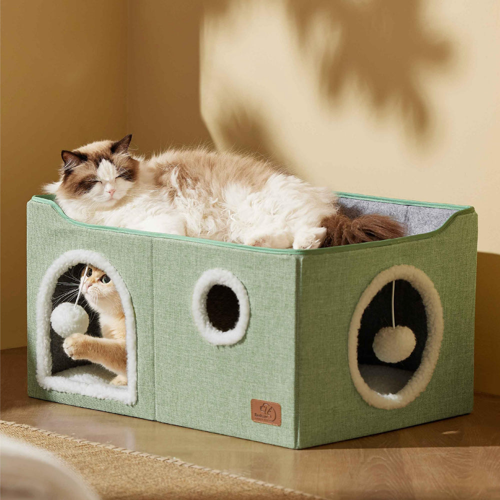 Bedsure comparatif taille avec chat adulte, supporte jusqu'à 13,6 kg