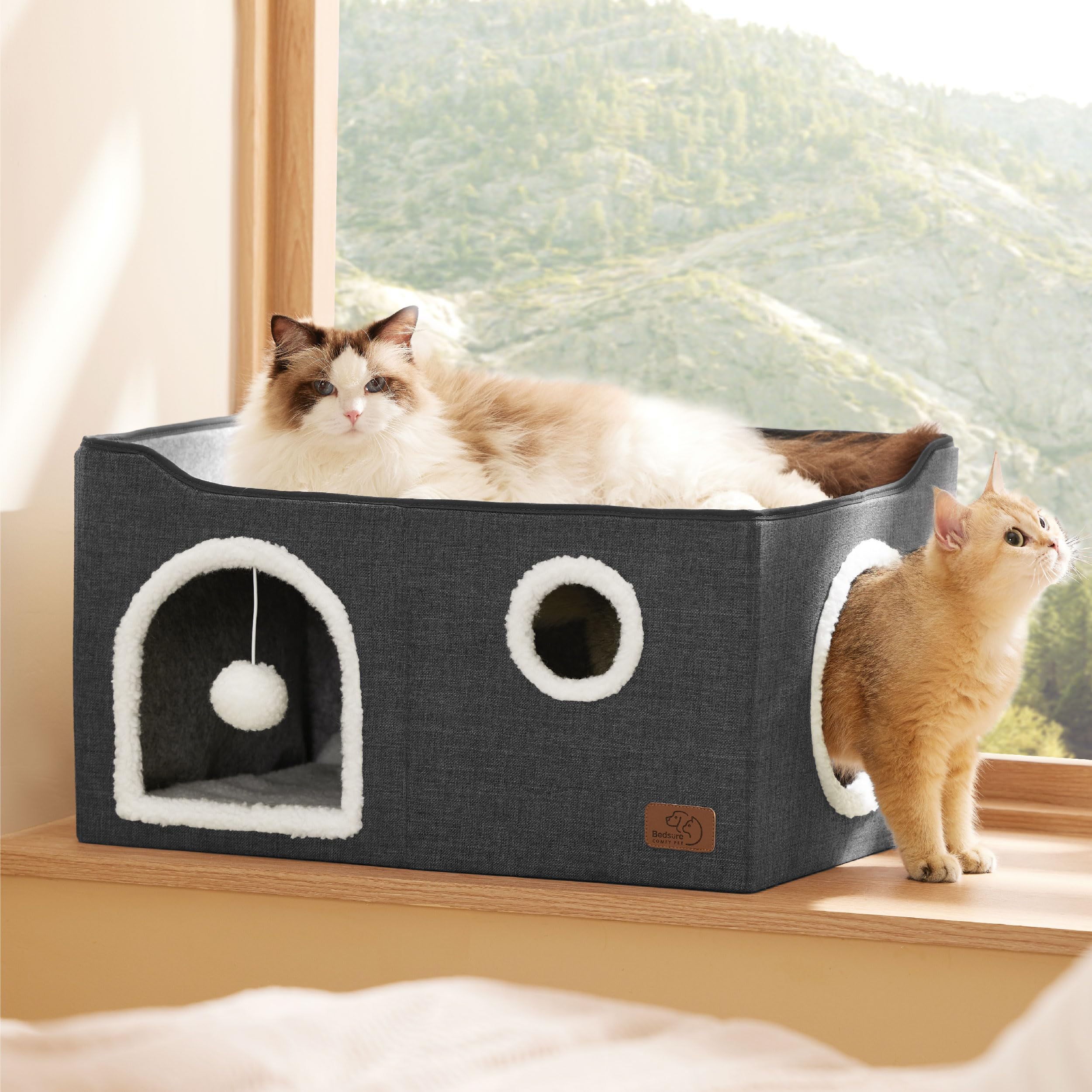 Bedsure comparaison taille montrant l'échelle pour chats de différentes tailles
