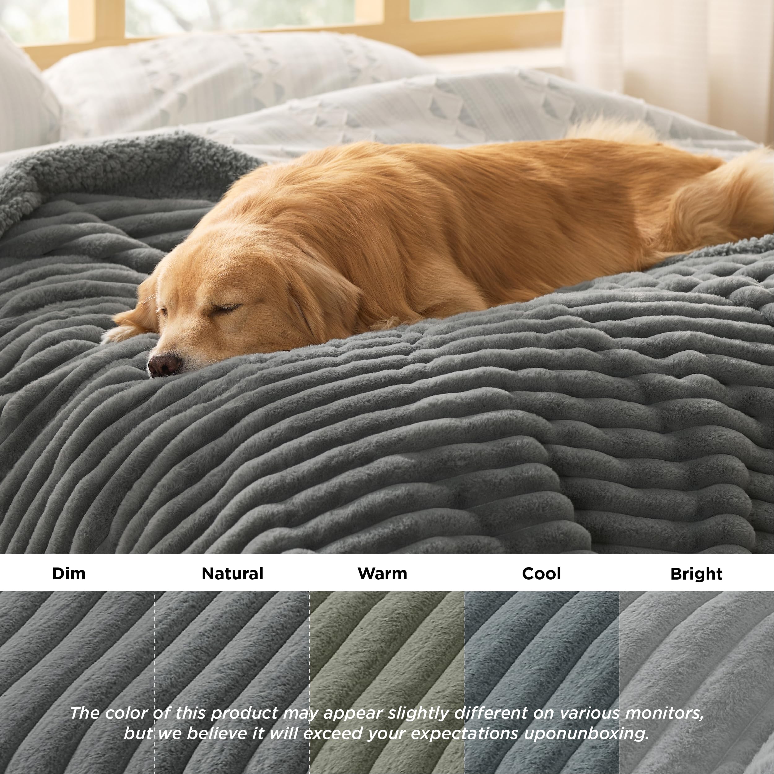 Bedsure petit chien se reposant montrant confort immédiat