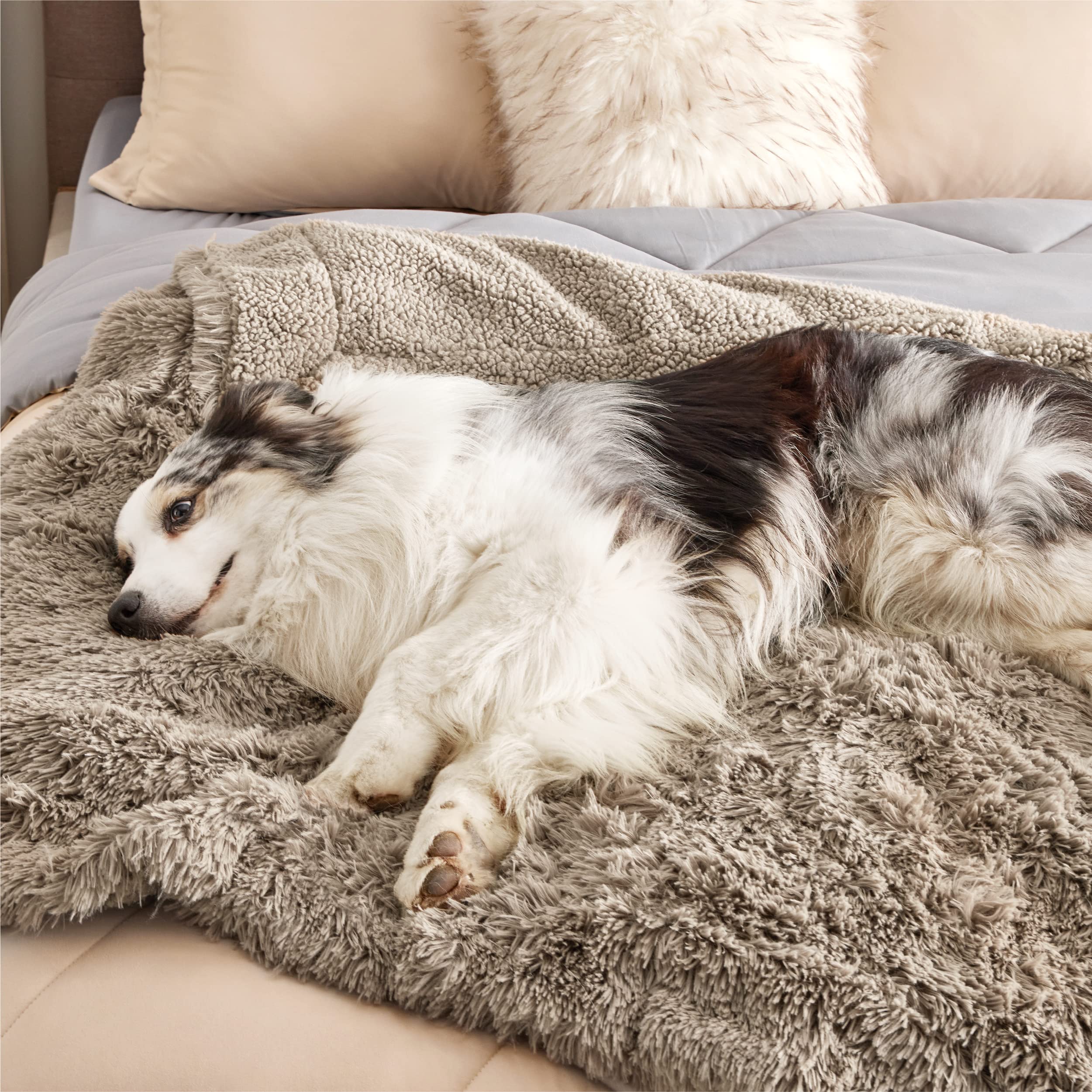 Bedsure étiquette OEKO‑TEX prouvant matériaux testés et sûrs