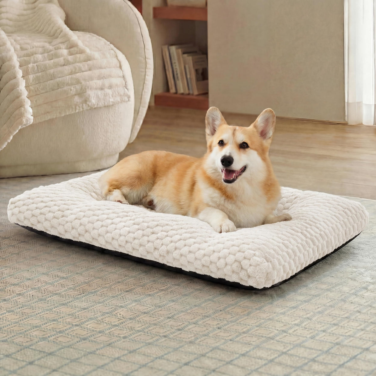 Bedsure face avant du lit chien 35 pour confort immédiat