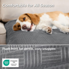 Bedsure housse en usage avec chien montrant protection pratique