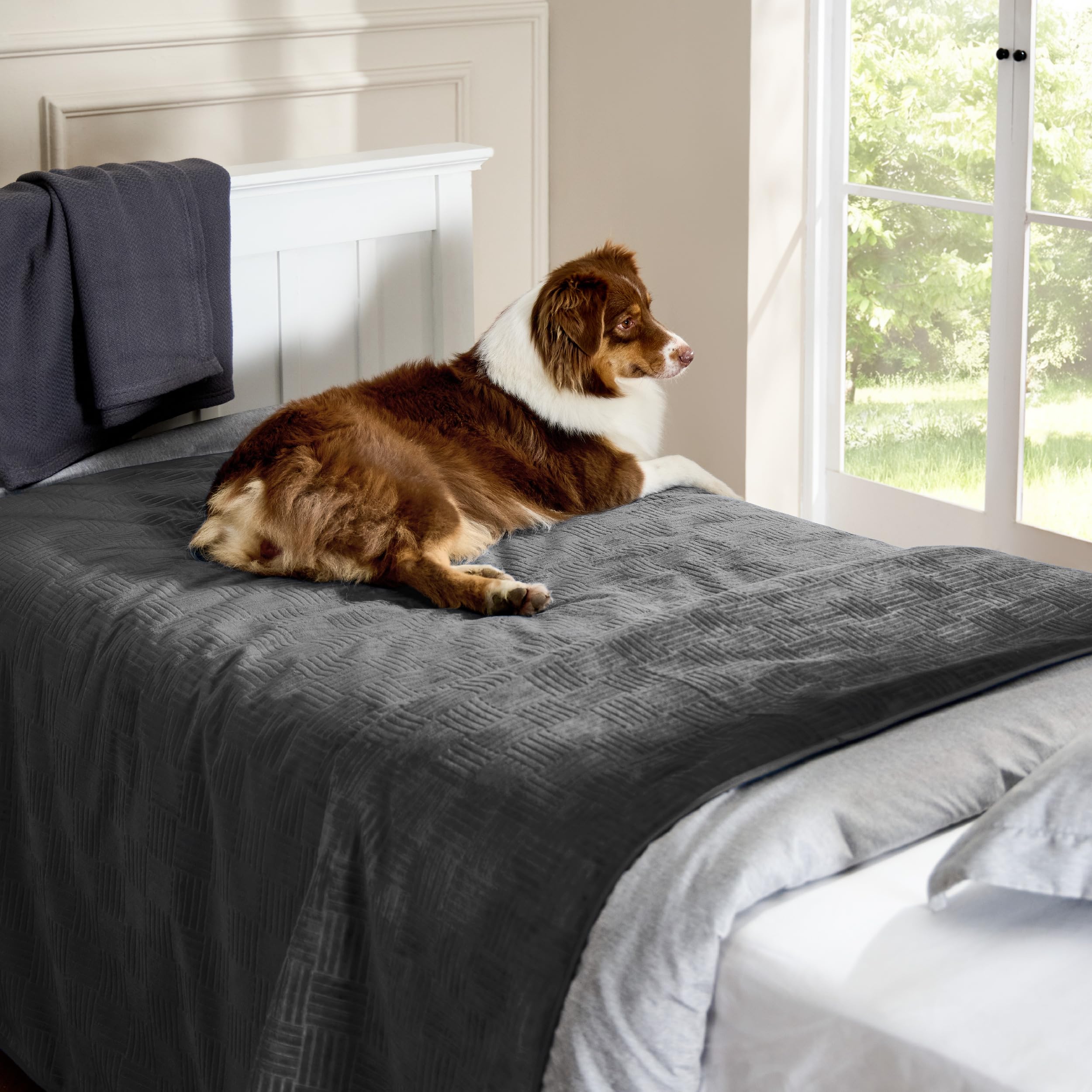 Bedsure housse dans salon stylé combinant protection et esthétisme