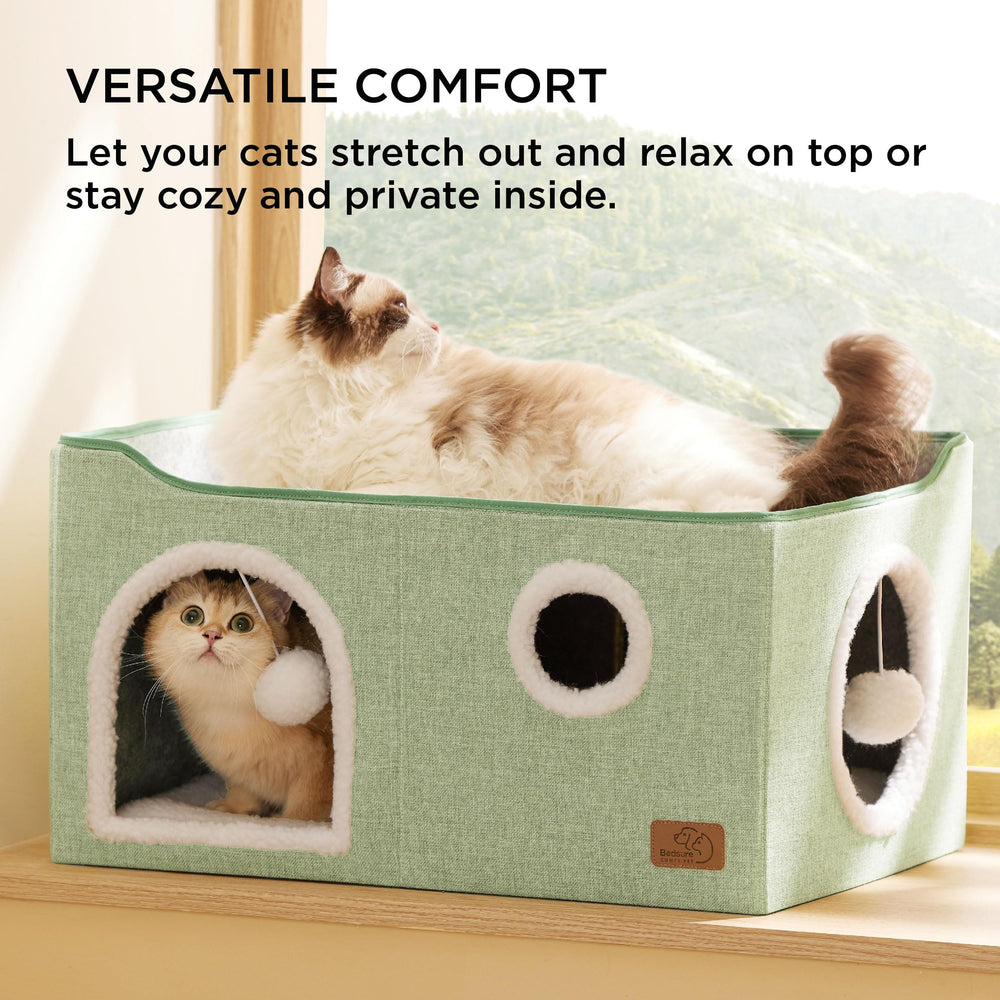 Bedsure intérieur avec coussin moelleux, confort douillet pour chat