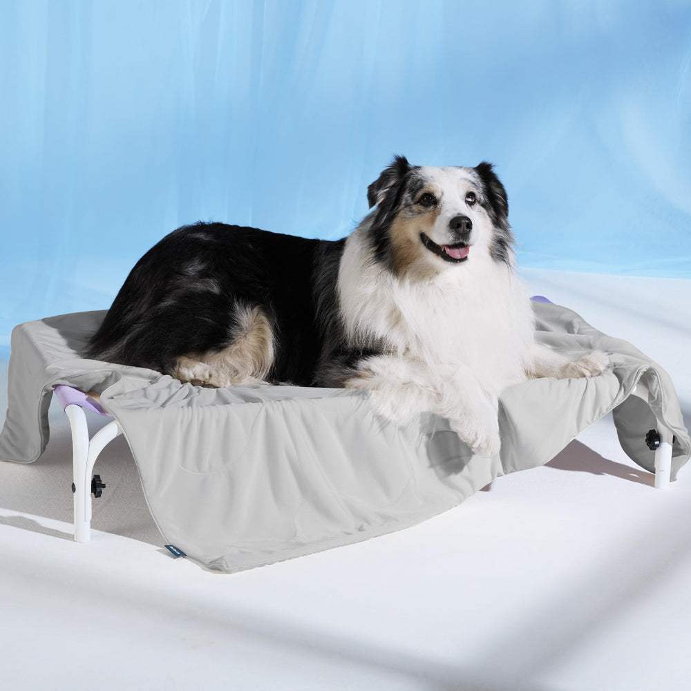 Bedsure scène de salon stylée illustrant intégration décorative et confort