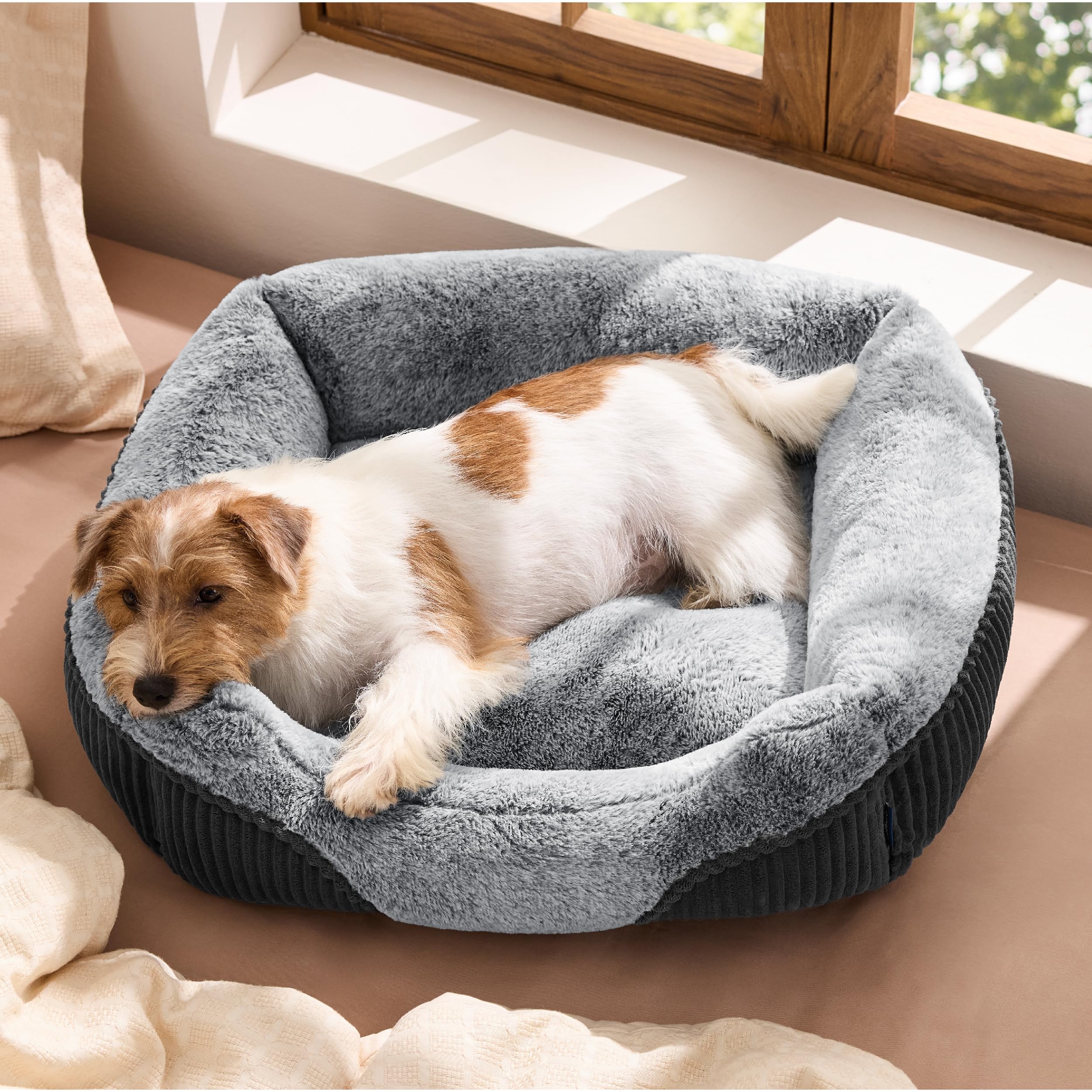 Bedsure lit chien vue face montrant confort et soutien