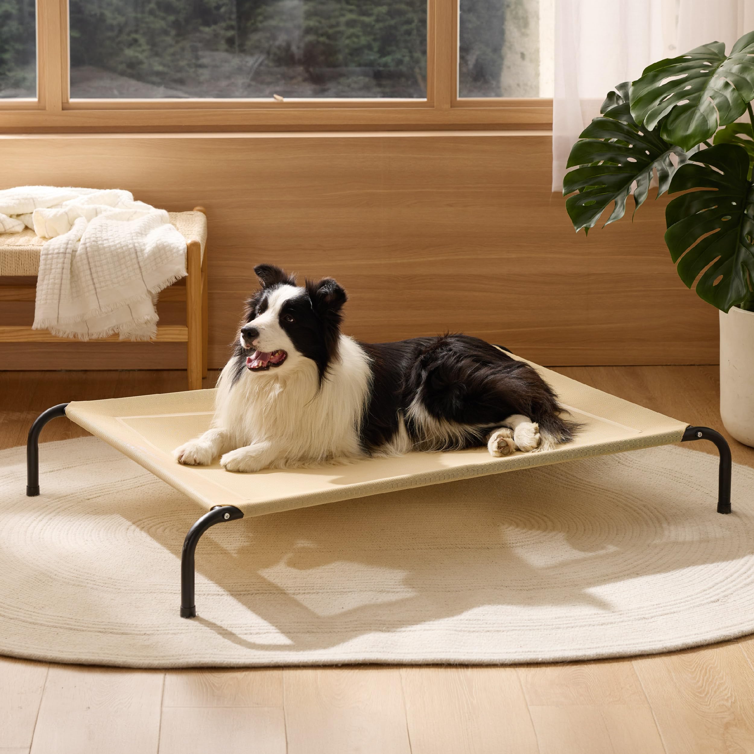 Bedsure lit placé près de piscine pour séchage rapide et usage extérieur
