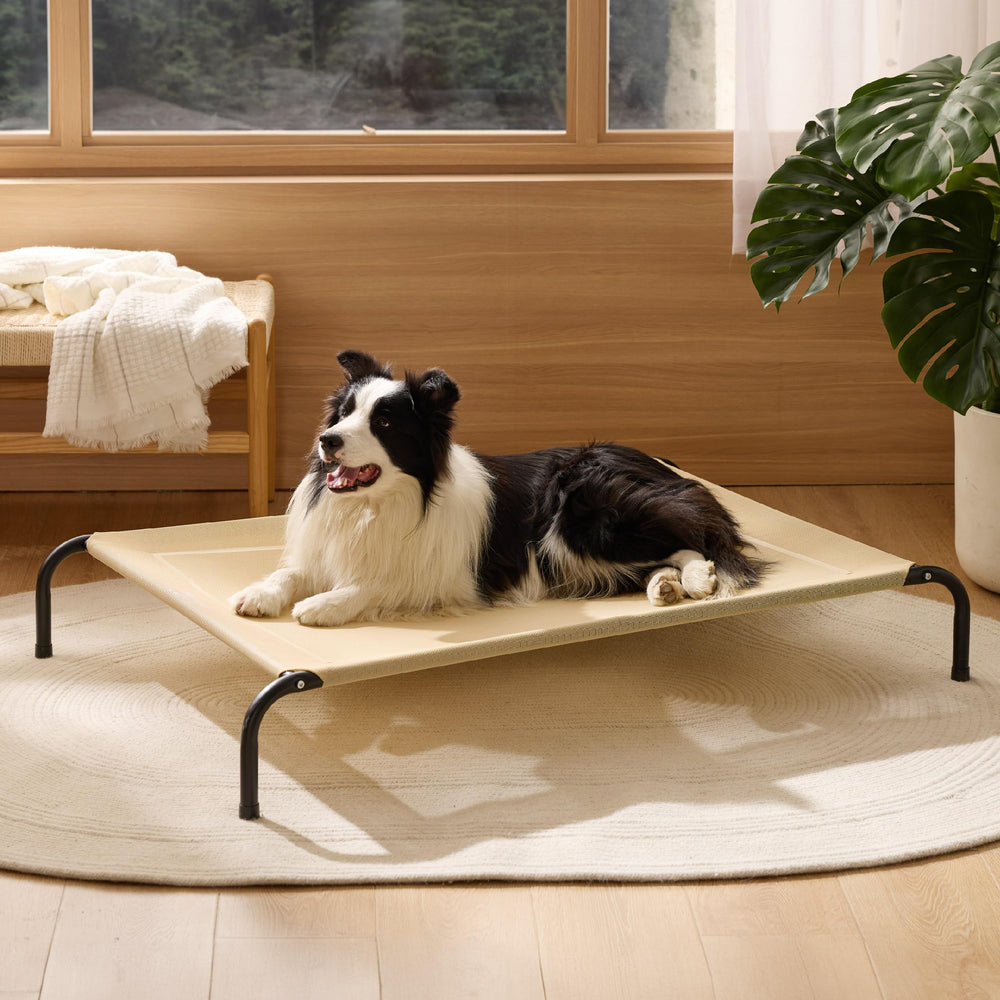 Bedsure lit placé près de piscine pour séchage rapide et usage extérieur
