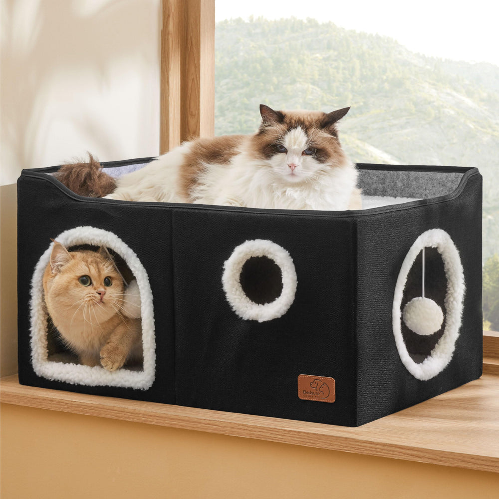 Bedsure comparaison d’échelle montrant capacité pour chat de grande taille