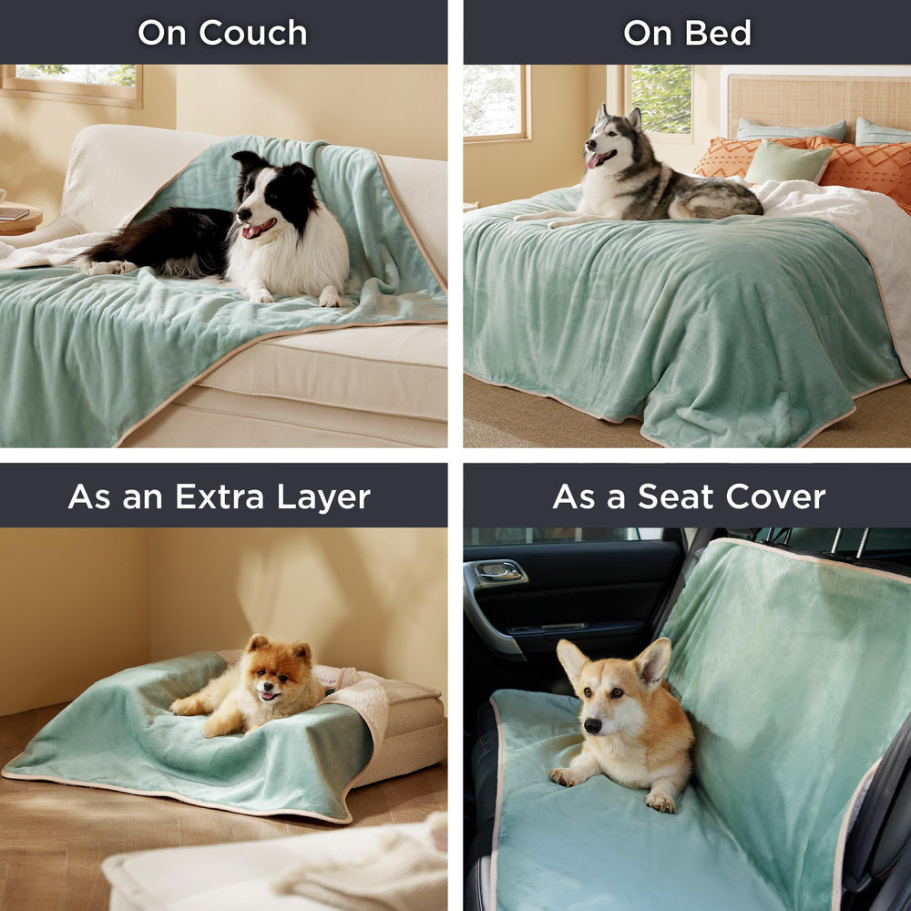 Bedsure sur canapé protège tissu et accueille petit chien