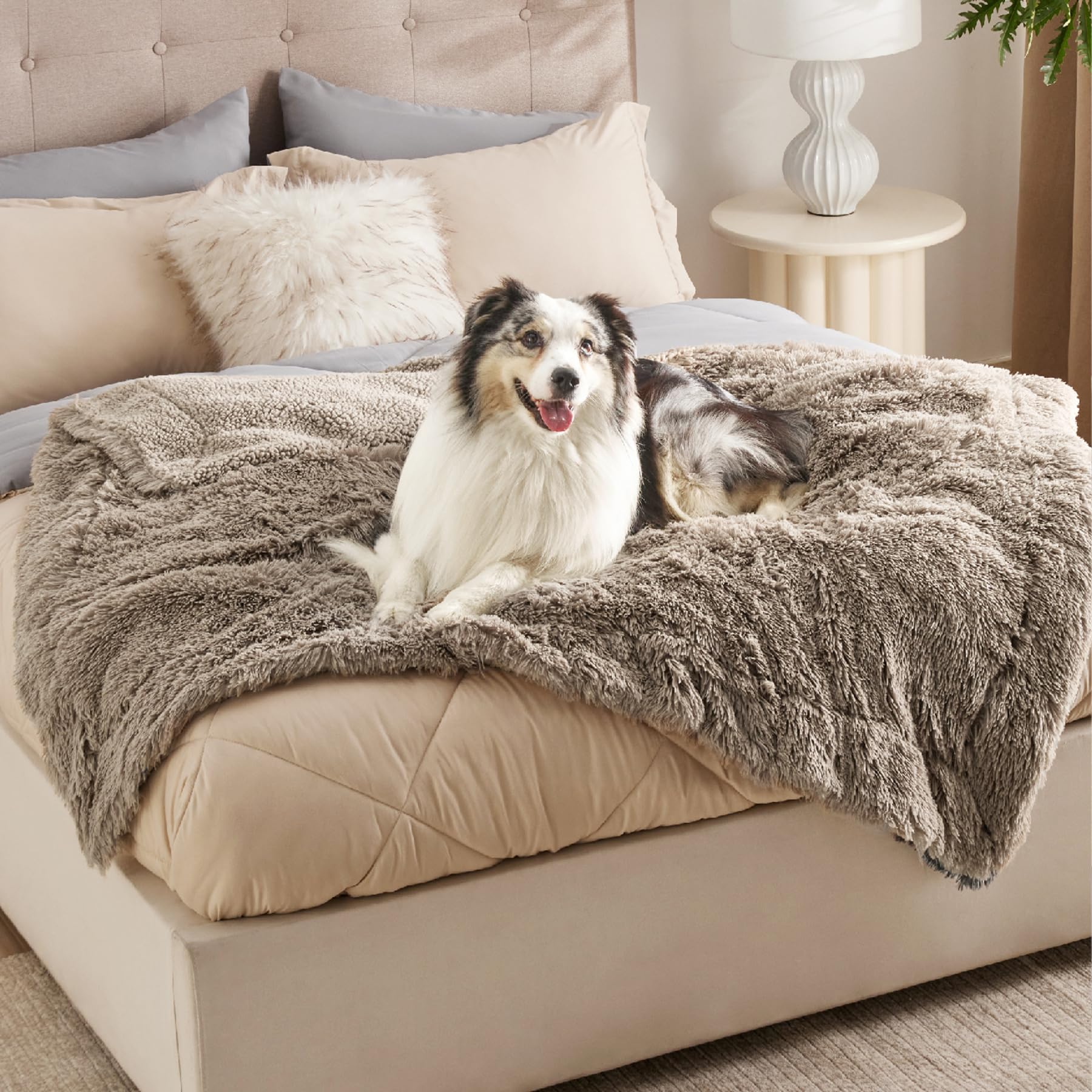 Bedsure couverture 50x60 à côté d'un grand chien démontrant l'échelle