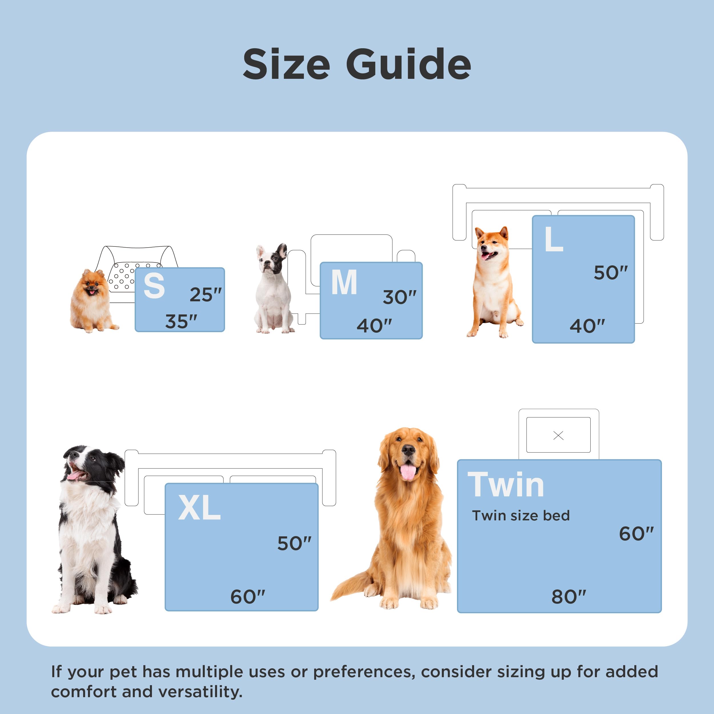 Bedsure comparaison taille montrant échelle et adéquation pour petits chiens