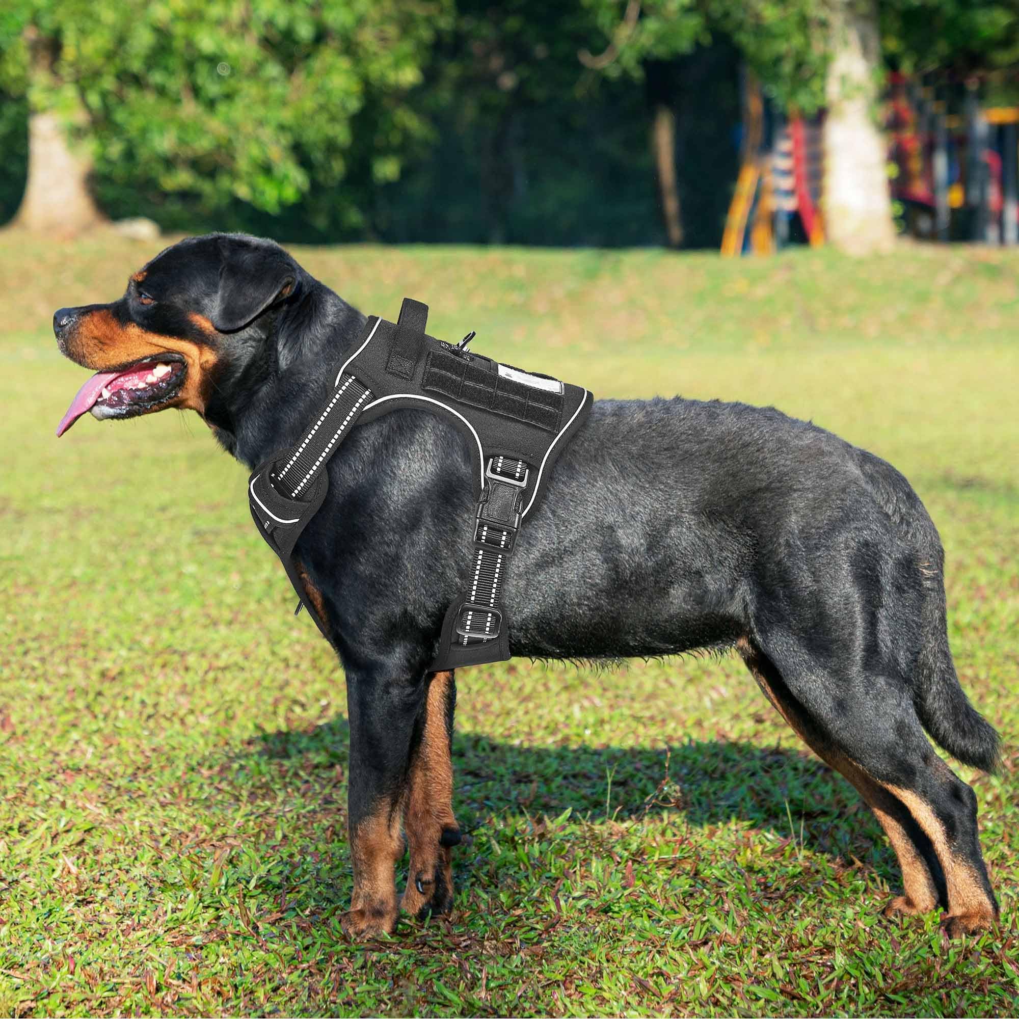 Beebiepet gros plan système Molle pour ajouter pochettes utiles