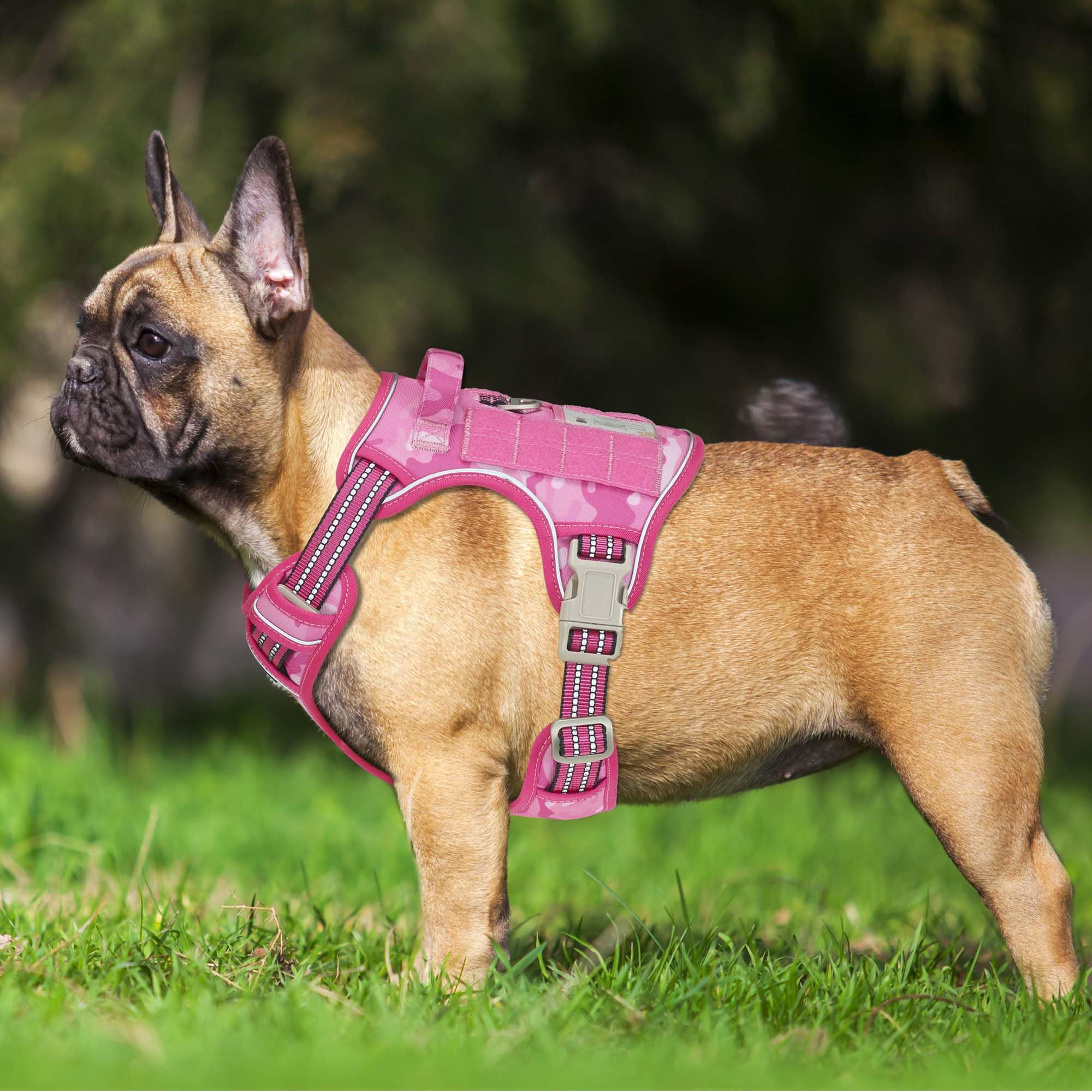 Beebiepet gros plan tissu et coutures renforcées pour durabilité