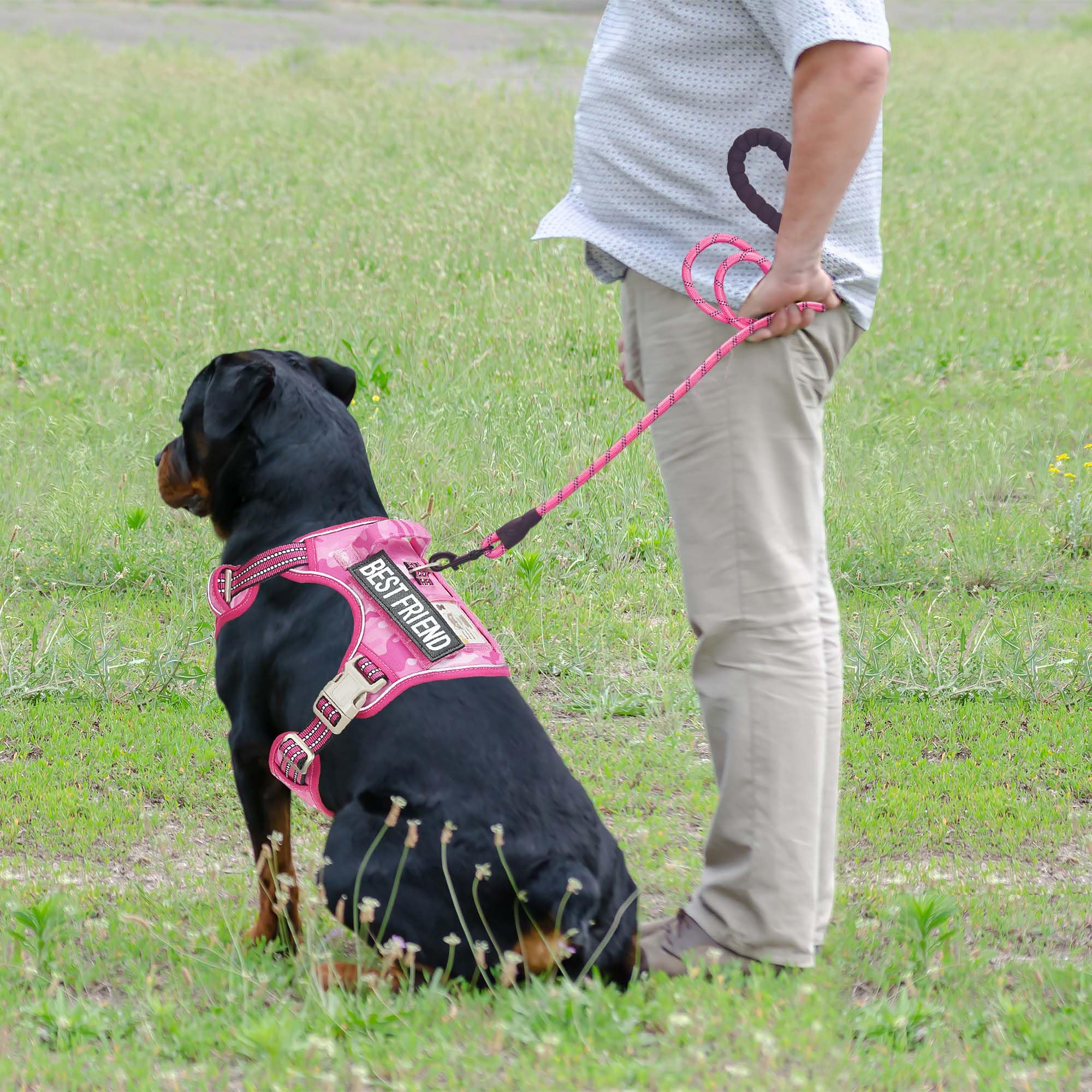Beebiepet détail système Molle latéral pour fixer accessoires utiles
